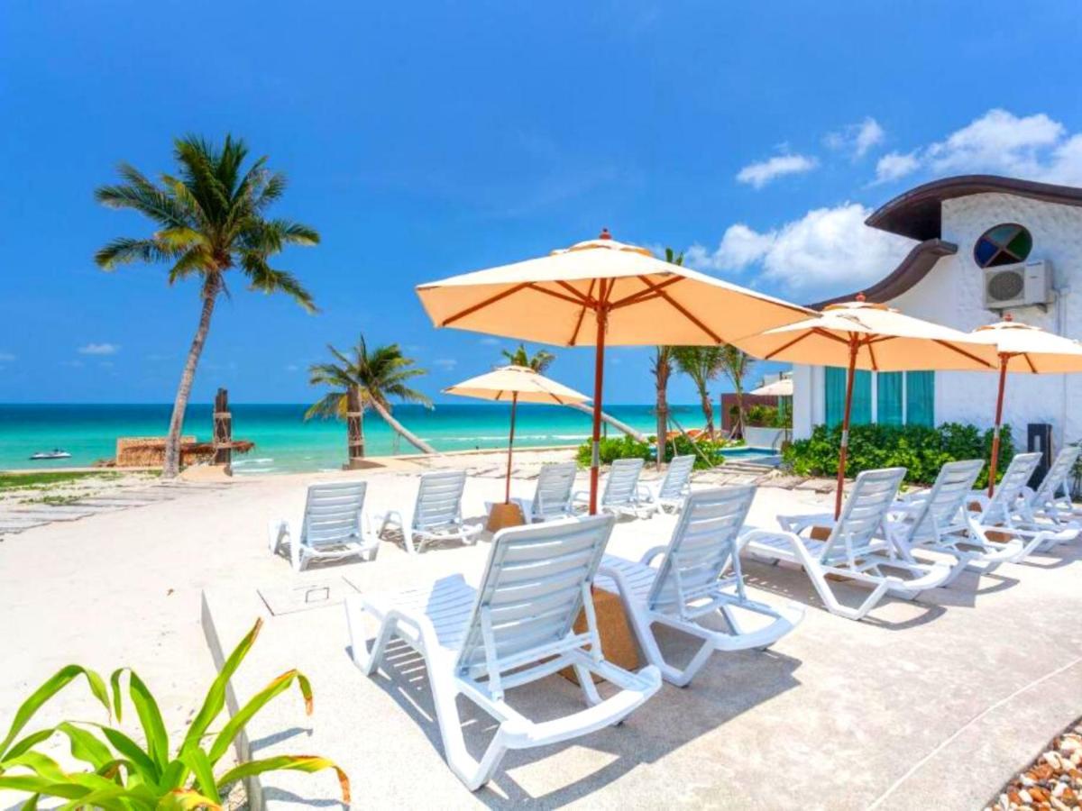 The Samui